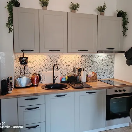 Apartment 33 Zlatibor